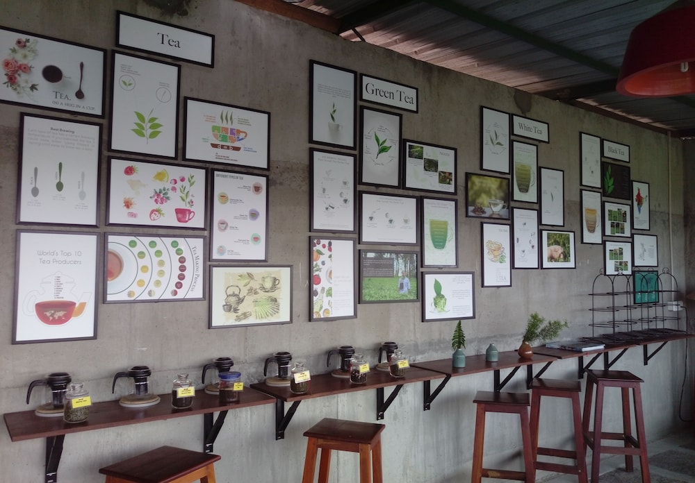 Spice Tree Munnar 39/50