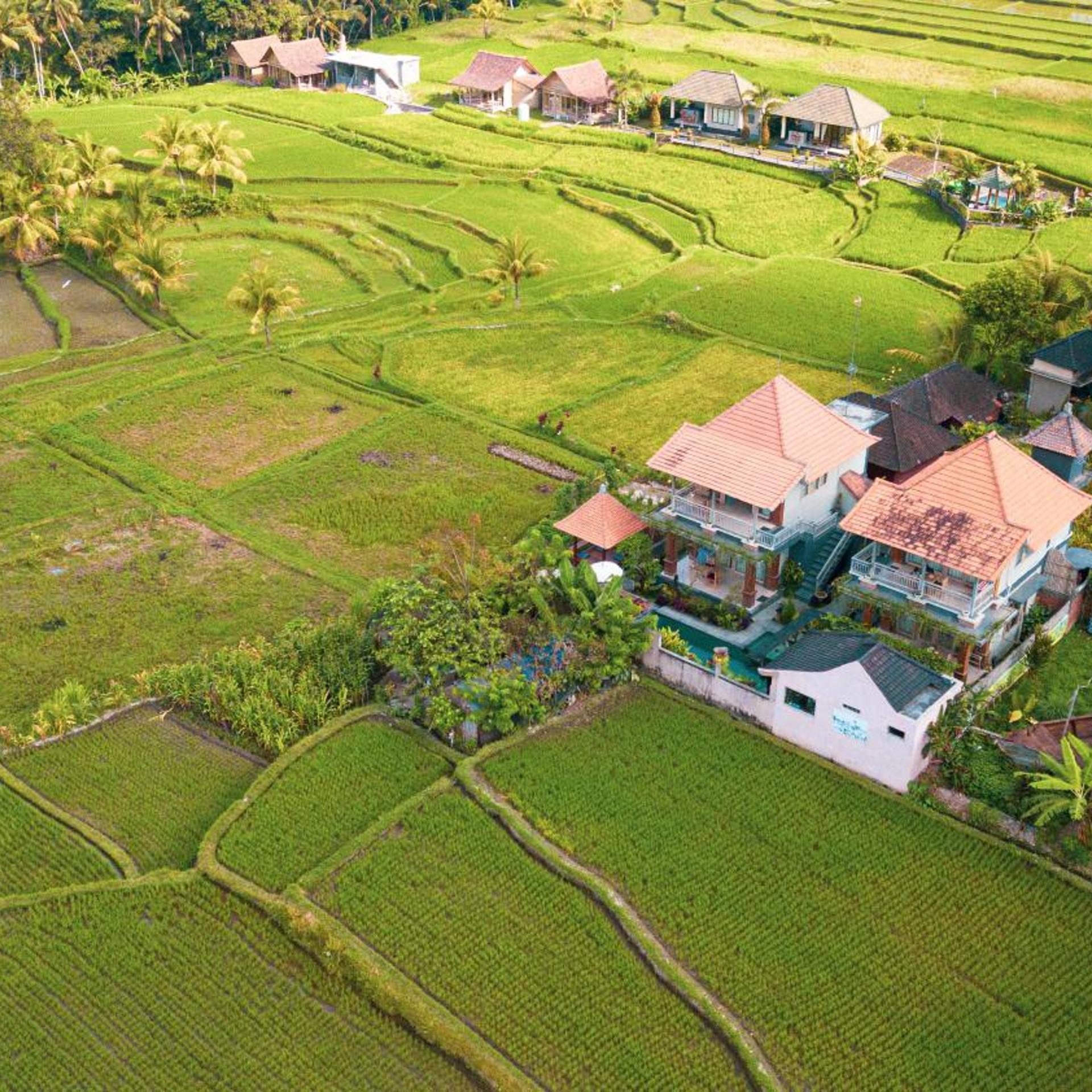 Raditya Villas Ubud 38/50