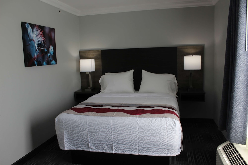 Best Western Medical Center North Inn and Suites Near Six Flags 13/37