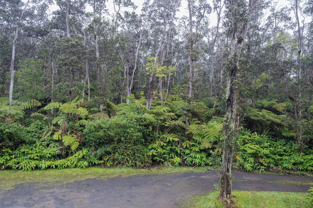 Volcano Forest Inn 45/50