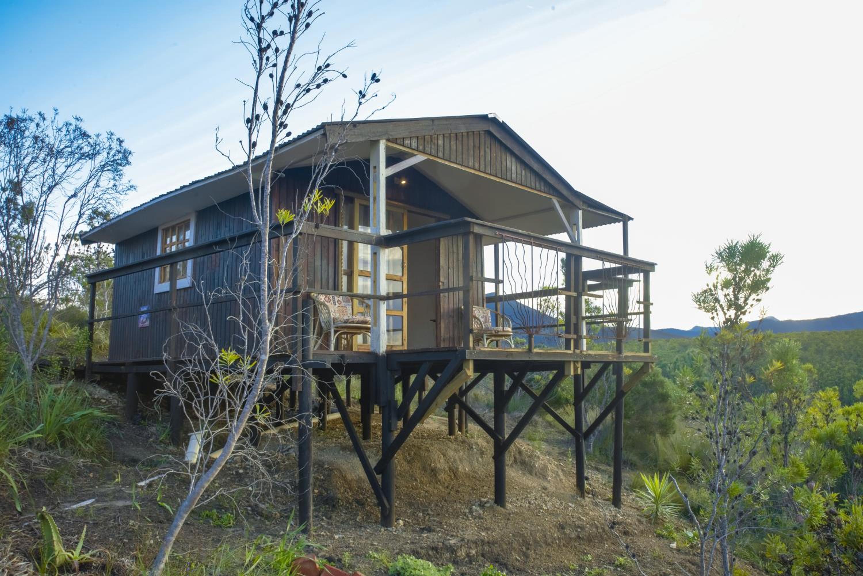 Rainforest Ridge Eco-Lodge 3/38