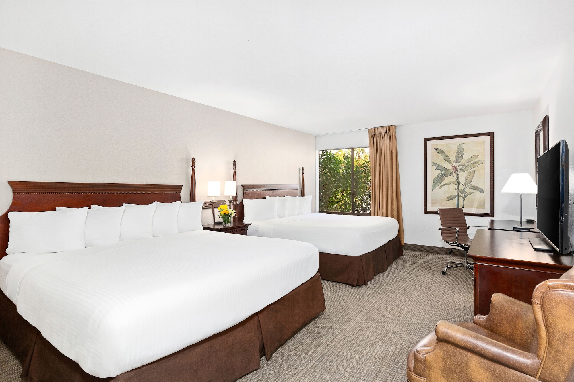 EXECUTIVE, 2 KING BEDS