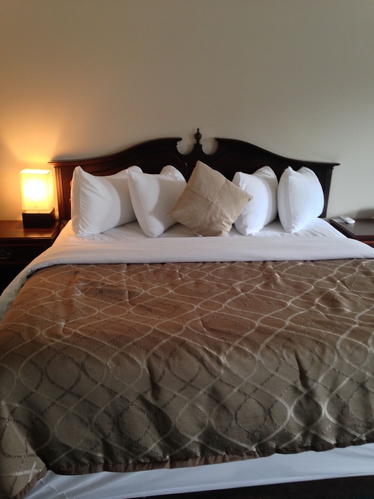 Bancroft Inn and Suites 12/39