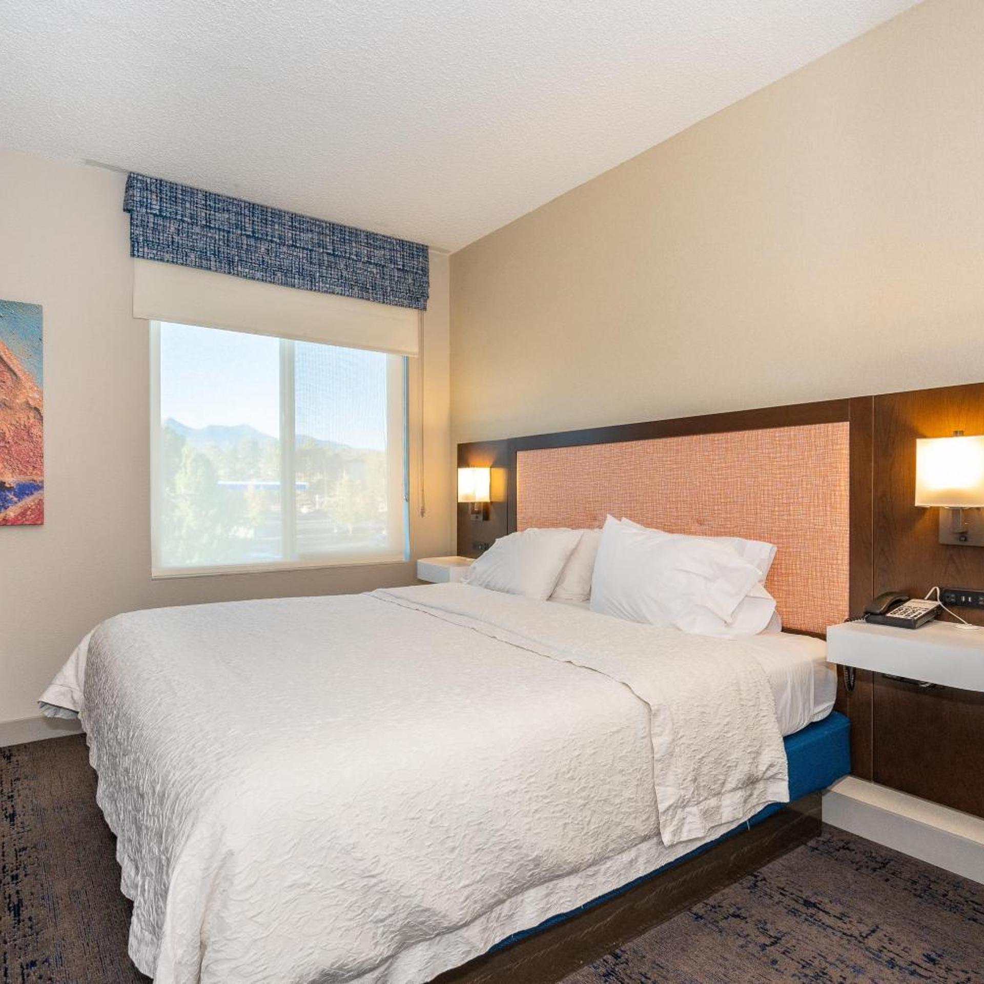 1 BEDROOM, SUITE, KING BED
