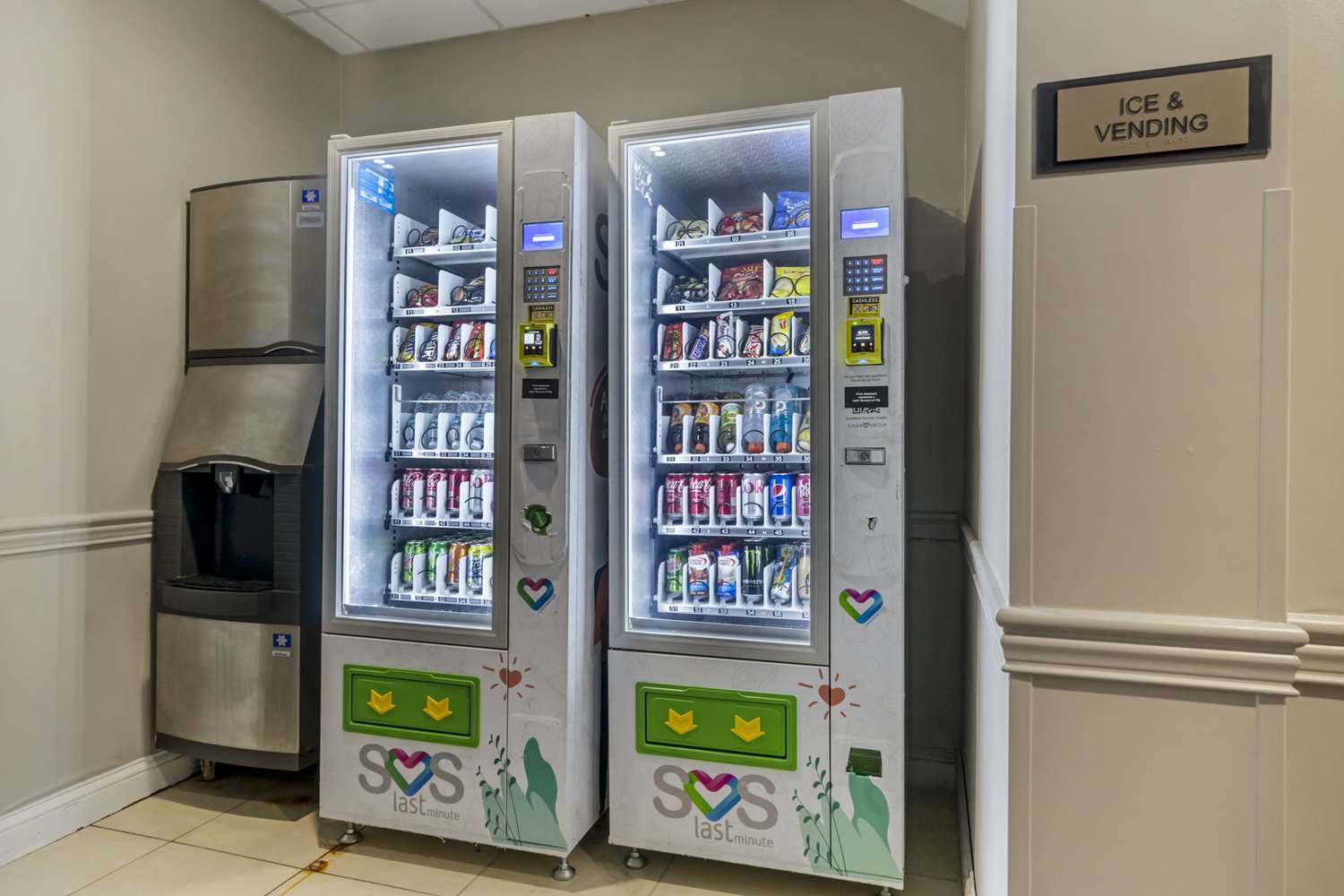 坦帕机场卡尔森乡村套房酒店(Country Inn and Suites by Radisson Tampa Airport North FL) 图片2