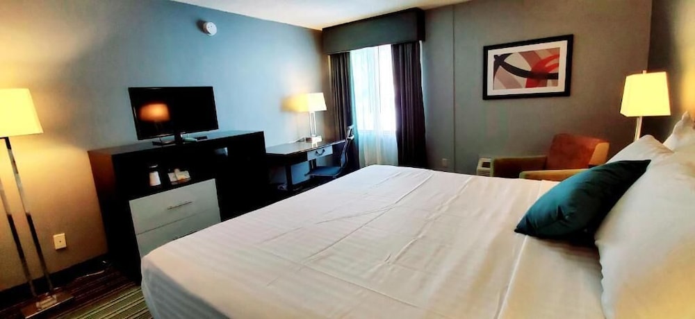 Garden Executive Hotel 22/58
