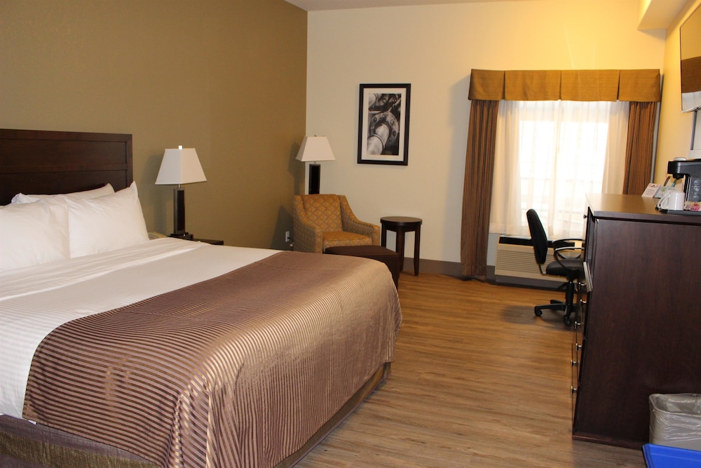 Best Western High Road Inn 14/53