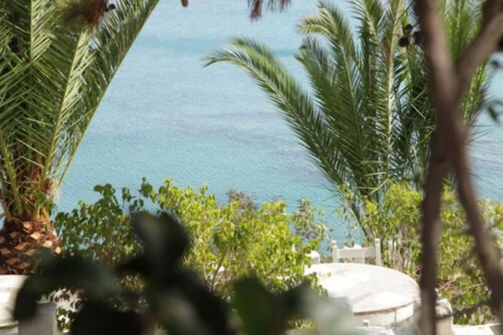 Elenas Beach Garden 12/16