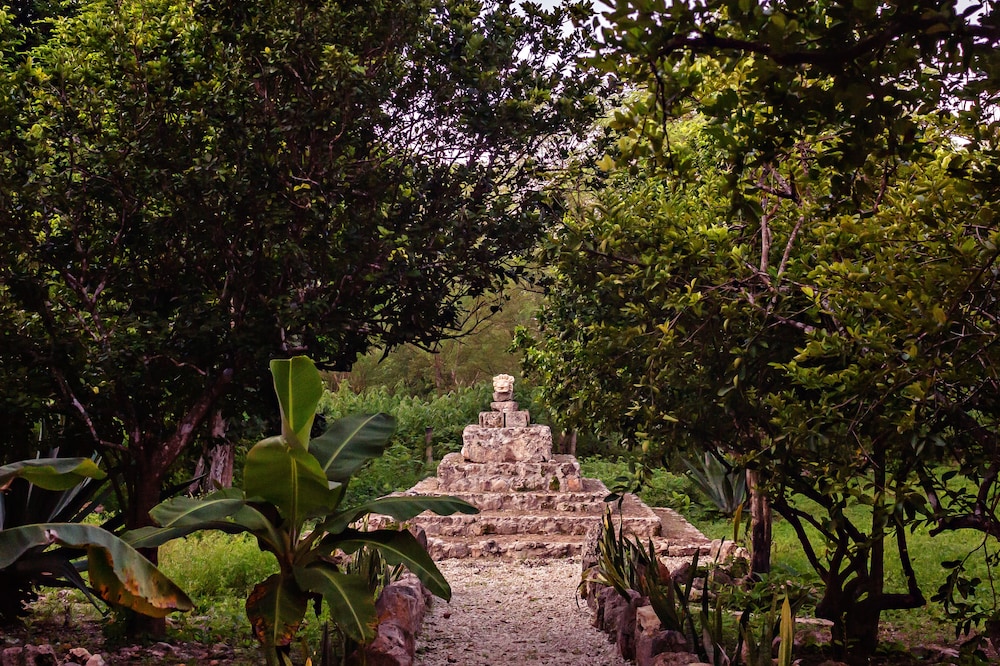 Hacienda Sacnicte 45/50