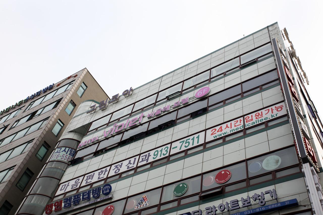 Hotel Violet 7/40