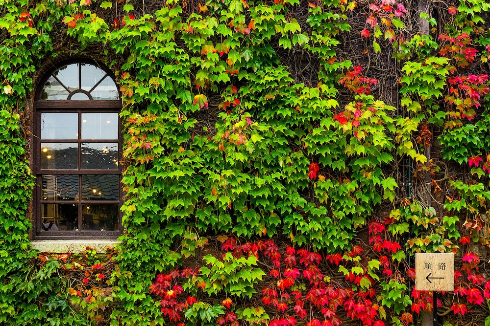 Kurashiki Ivy Square 44/49