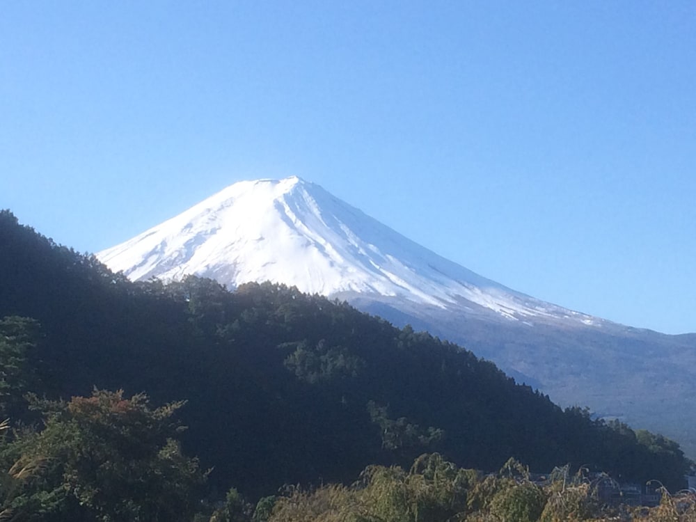 Hotel Route Inn Kawaguchiko 45/49