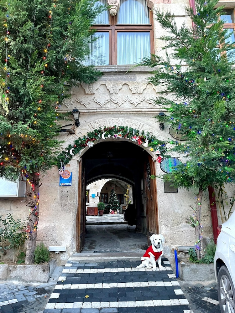 Travellers Cave Pension 41/50