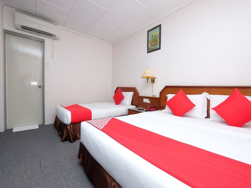 OYO 1236 Hotel Green Park 29/58
