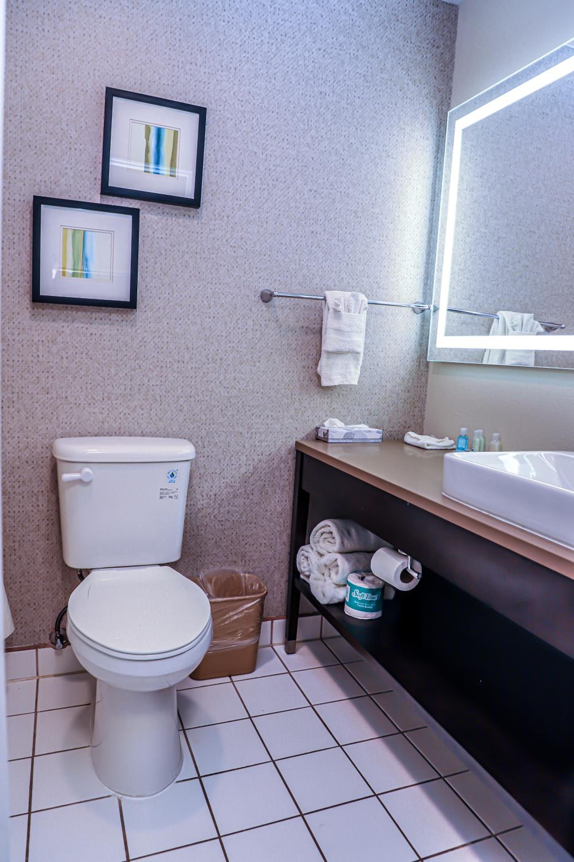جناح بسرير كينج مع أريكة، Quality Inn & Suites Camarillo-Oxnard 4/5