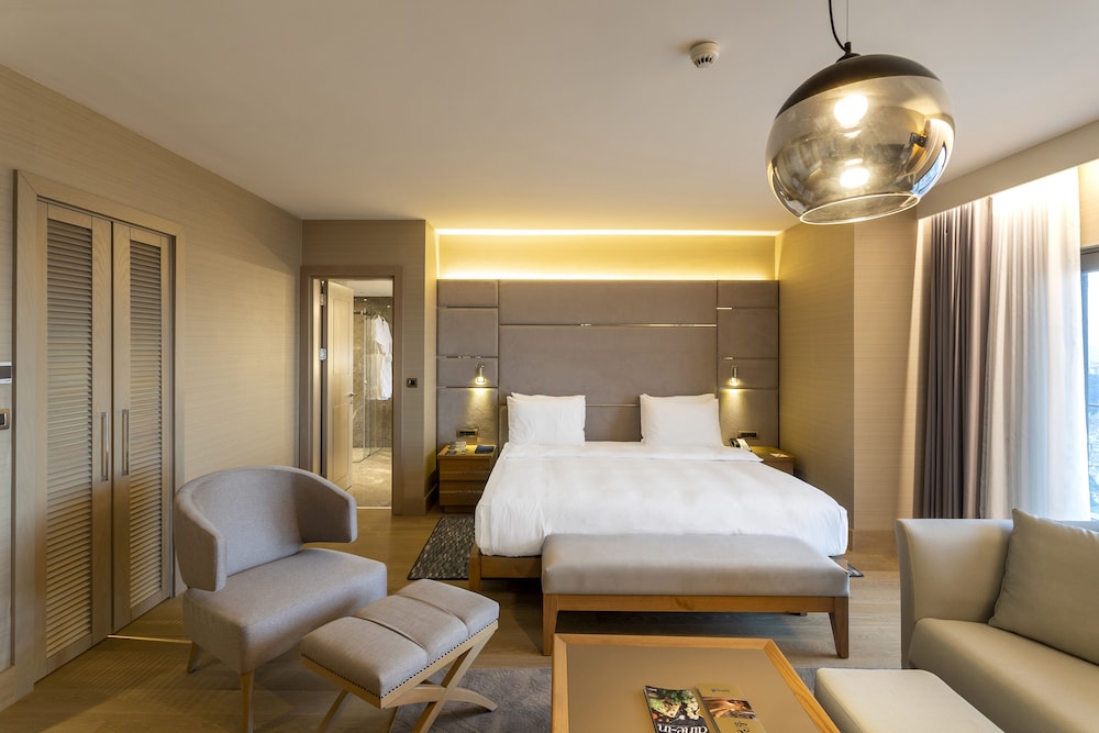 Radisson Blu Hotel Trabzon 15/70