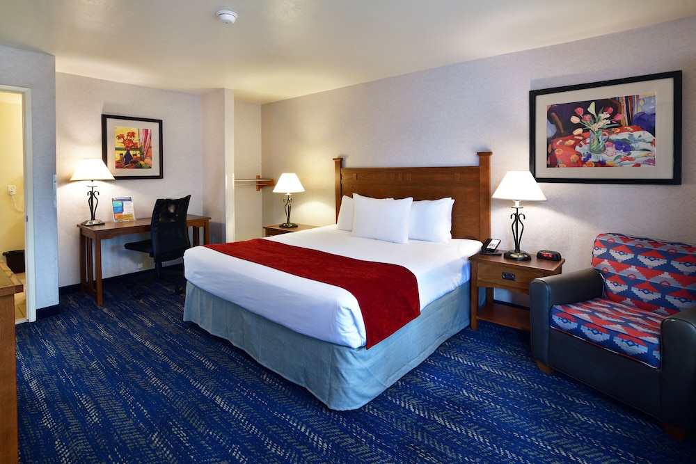 Room, Single, King Bed, Accessible