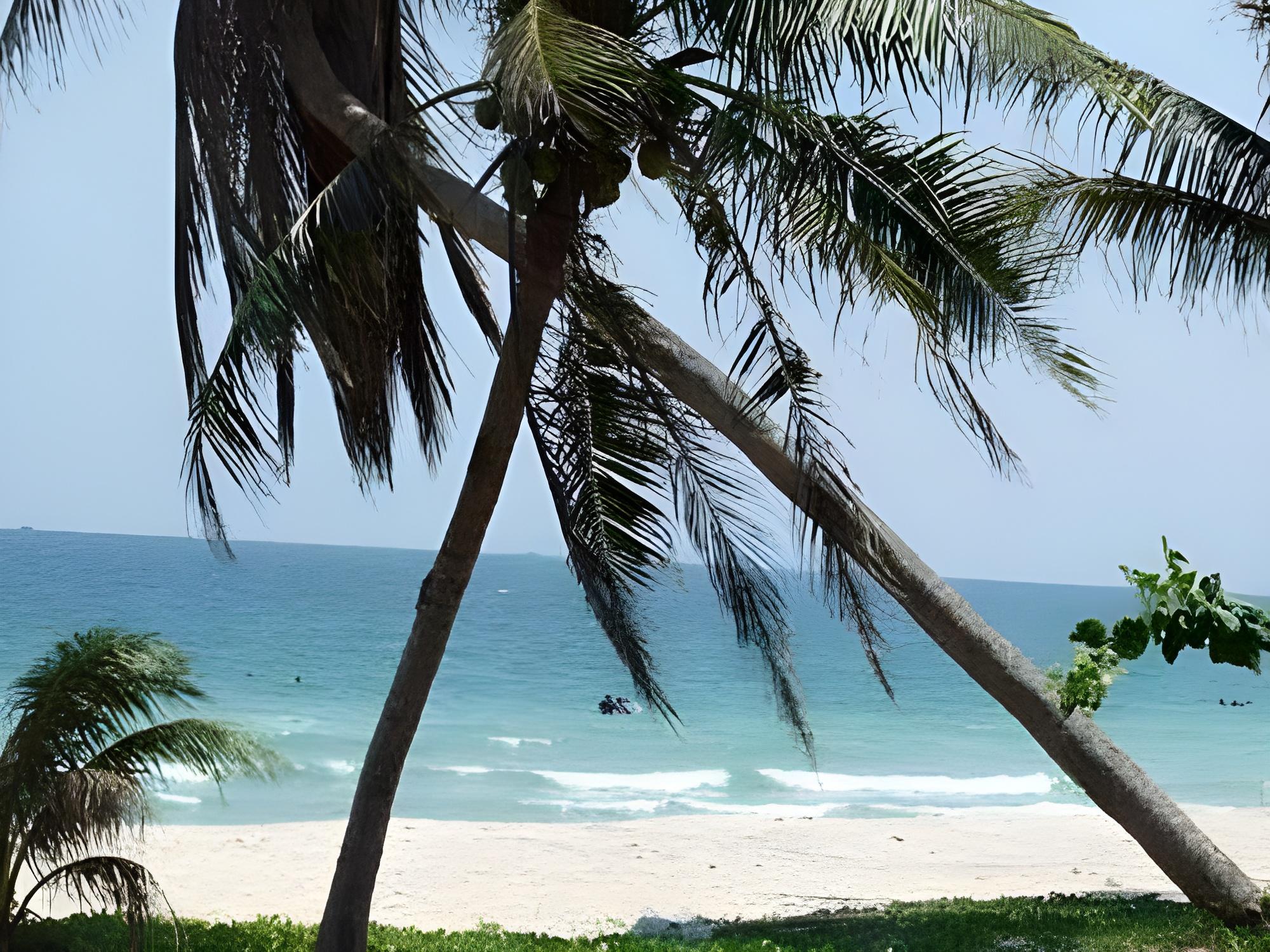 Chill Beach Resort 40/50