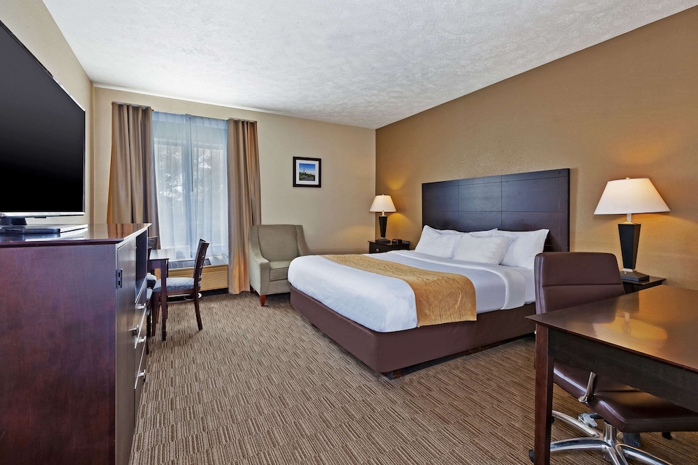 Comfort Inn Whitehall Near Michigan s Adventure 16/36