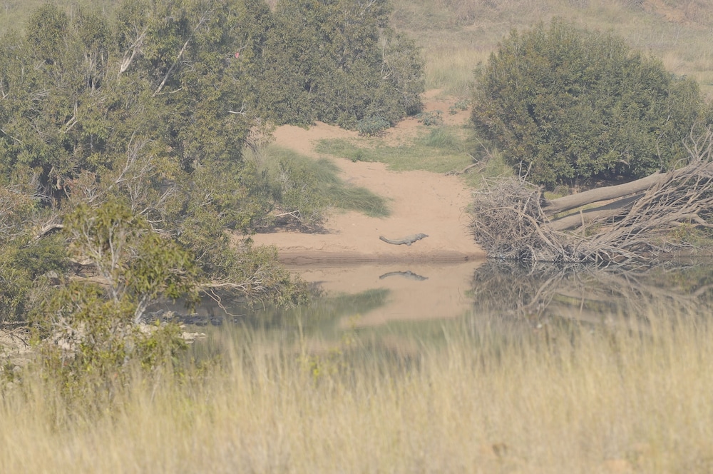 KEN RIVER LODGE 21/24