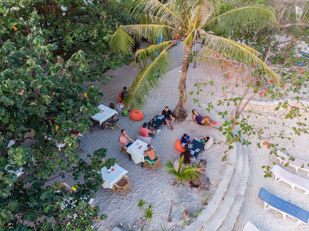 Hippocampus Beach And Dive Resort 57/59