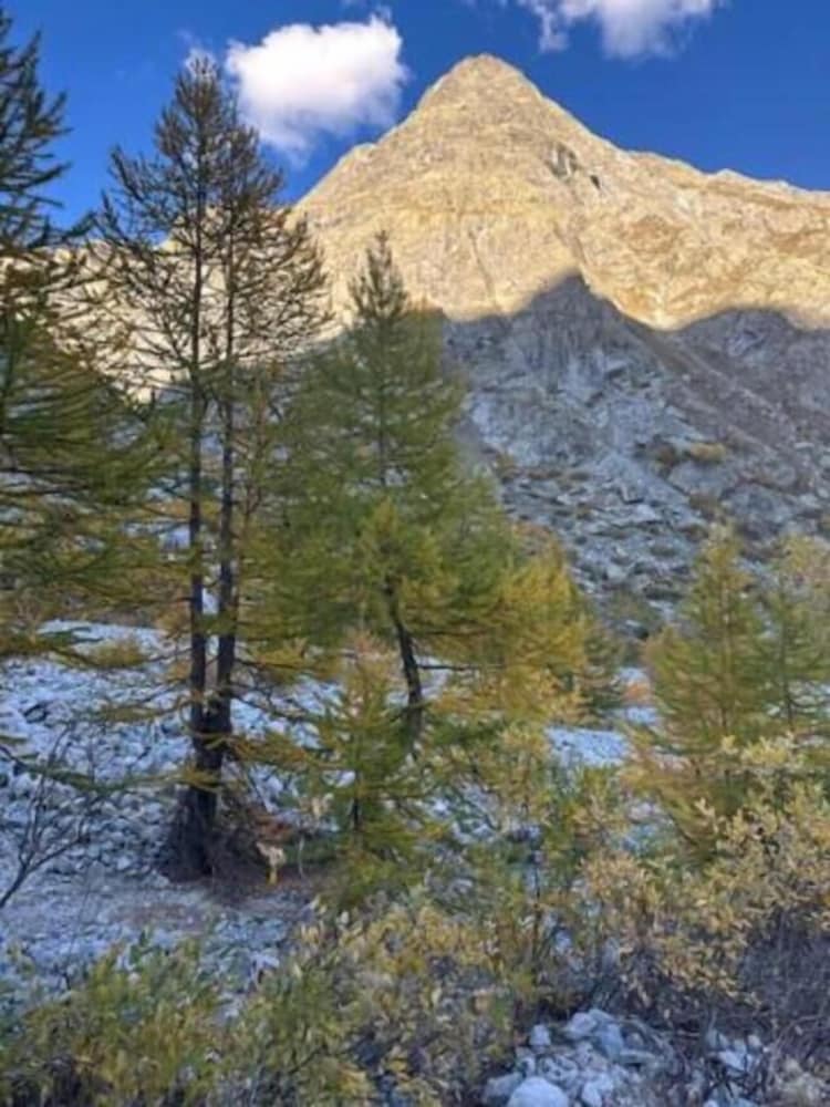 Hotel Vauban Briancon 43/50