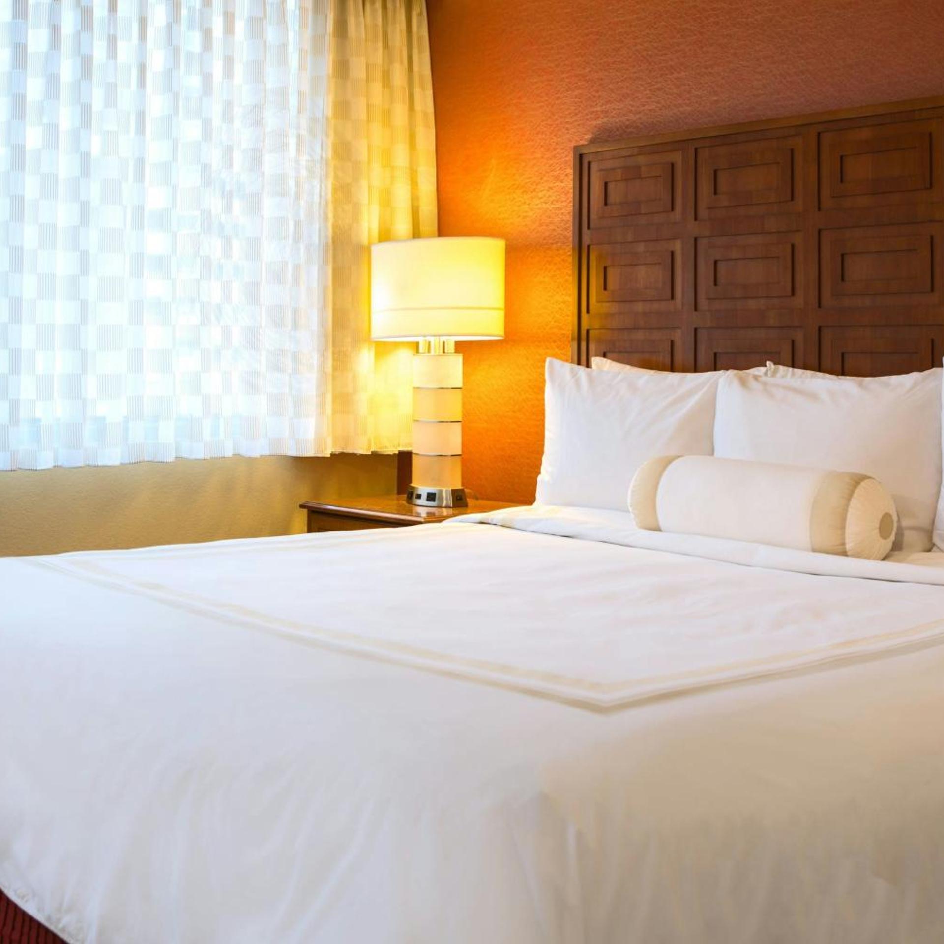 Room, Double Bed, City View