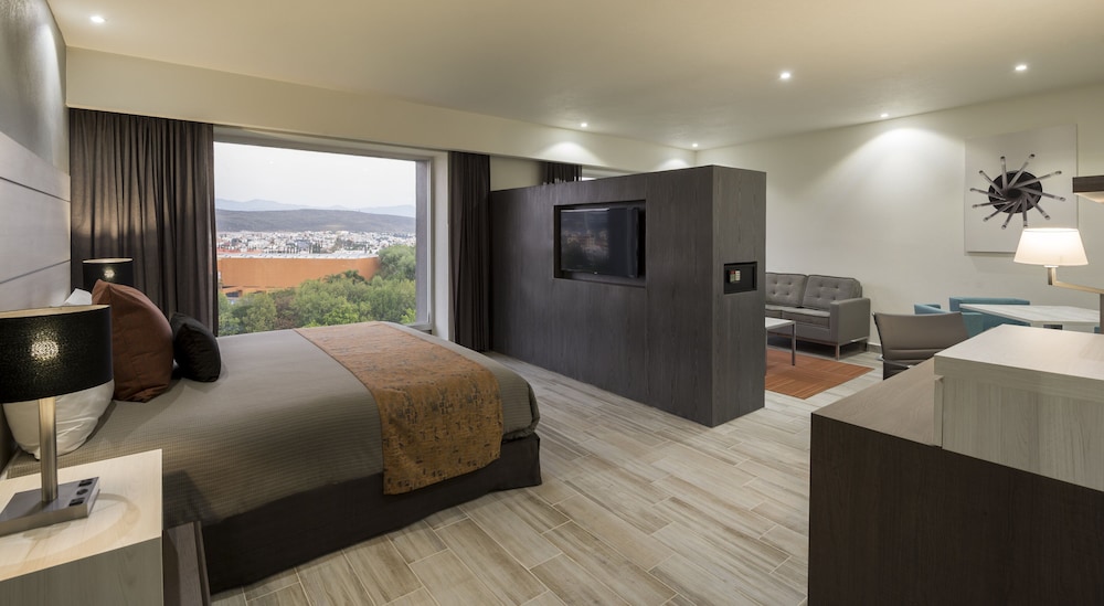 Real Inn San Luis Potosi 18/45