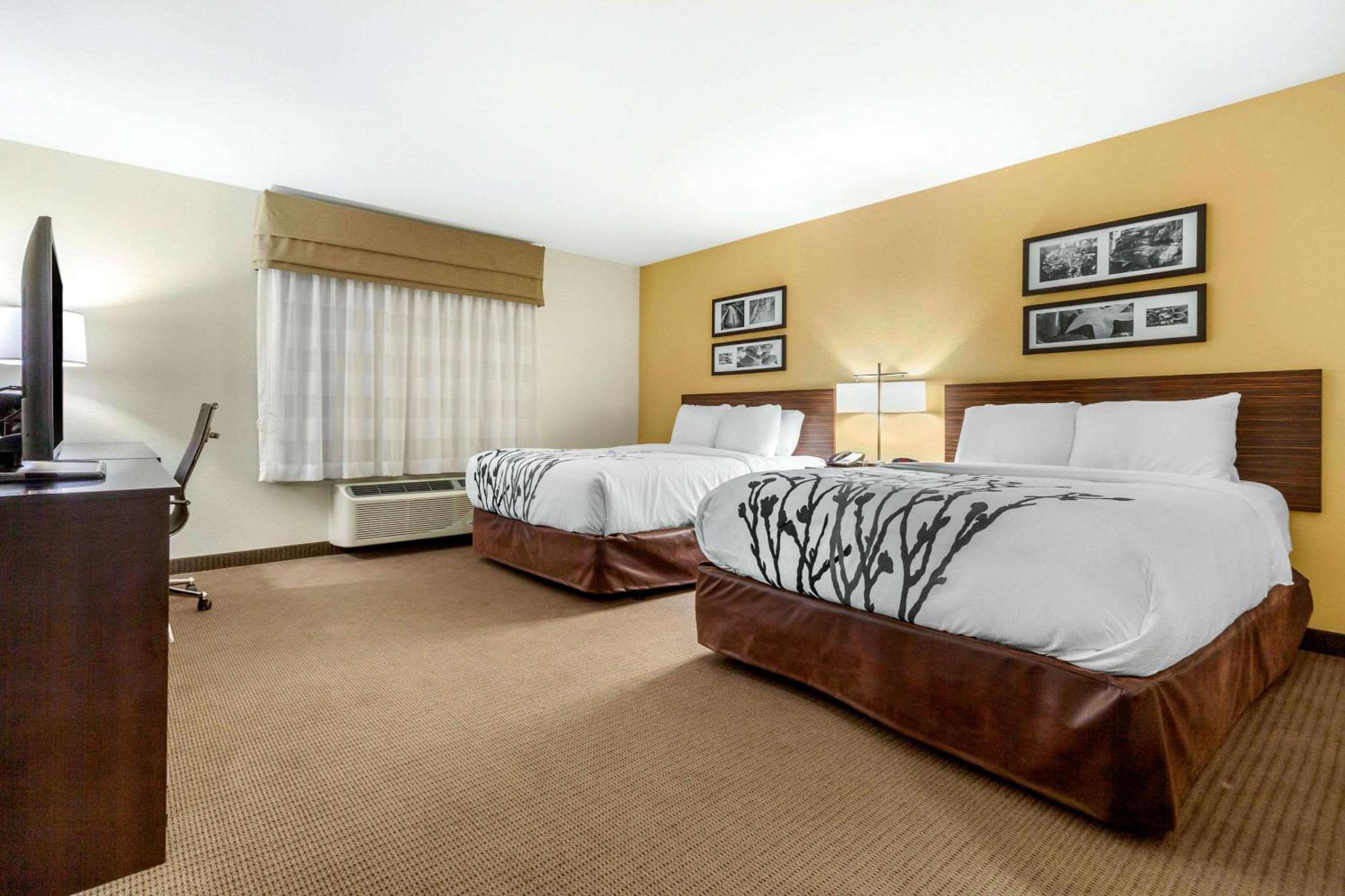 SUITE, 2 QUEEN BEDS, ACCESSIBLE