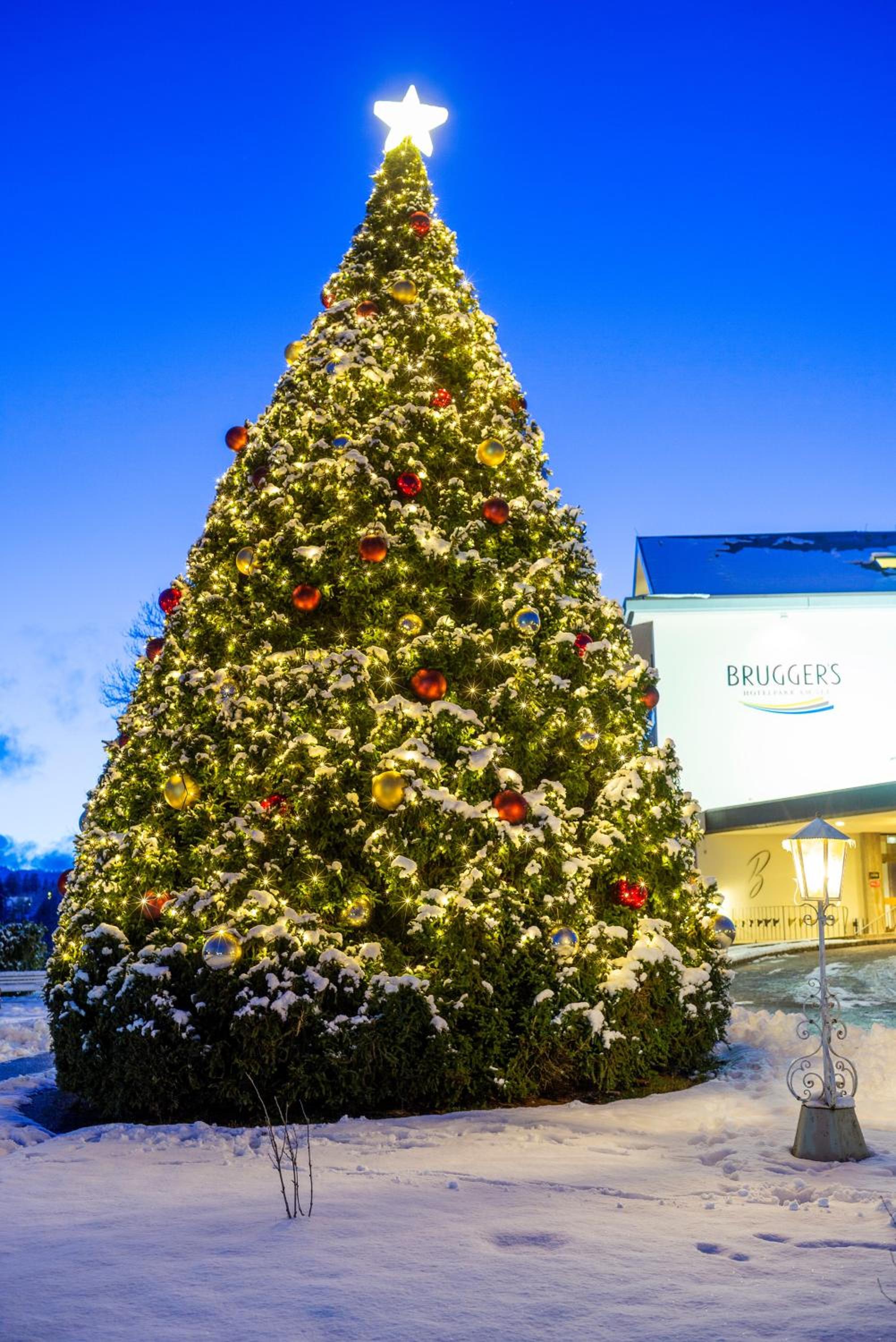 Brugger's Hotelpark am See 3/59
