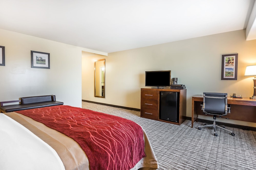 Comfort Inn Pomona near Fairplex 10/46