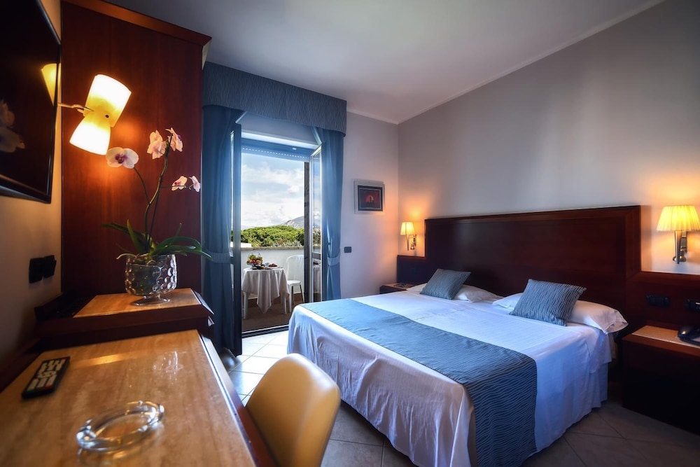 Hotel Le Palme 13/49
