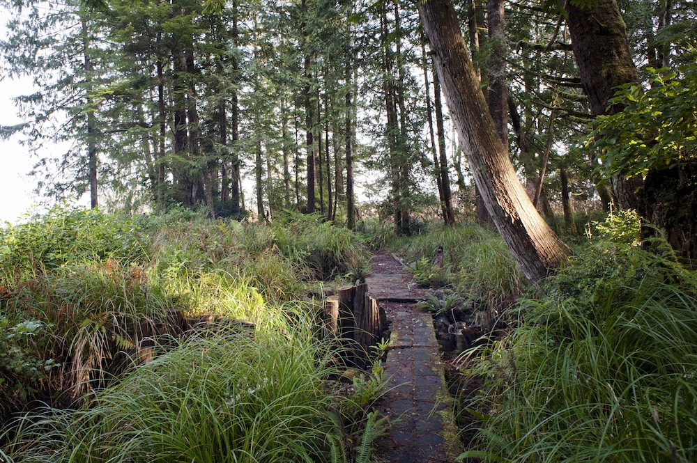 Hotel Zed Tofino 36/36
