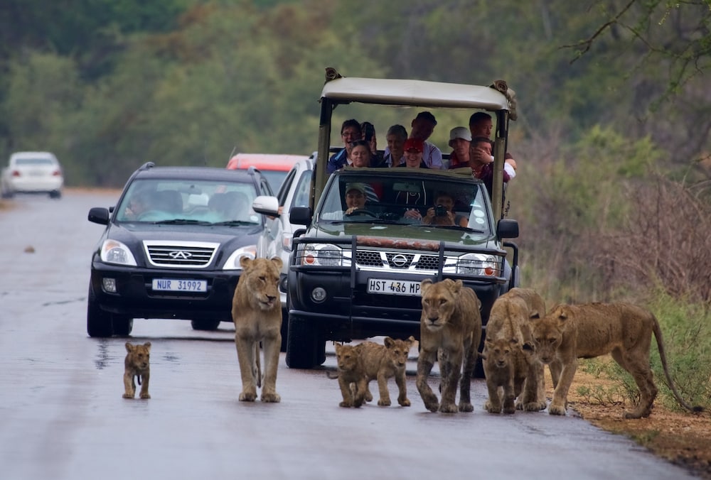 Phumula Kruger Lodge 6/66