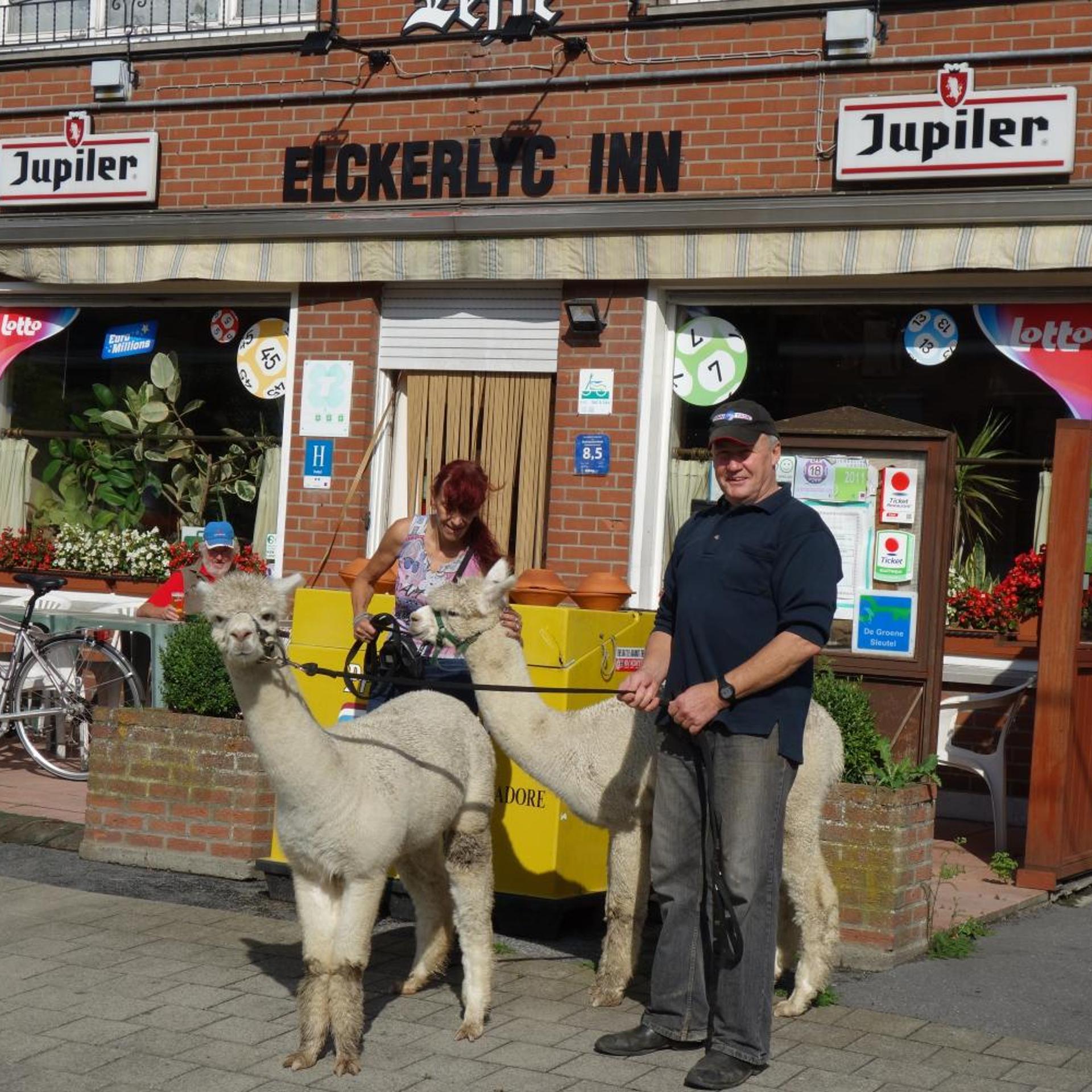 Elckerlyck Inn Hotel 4/45