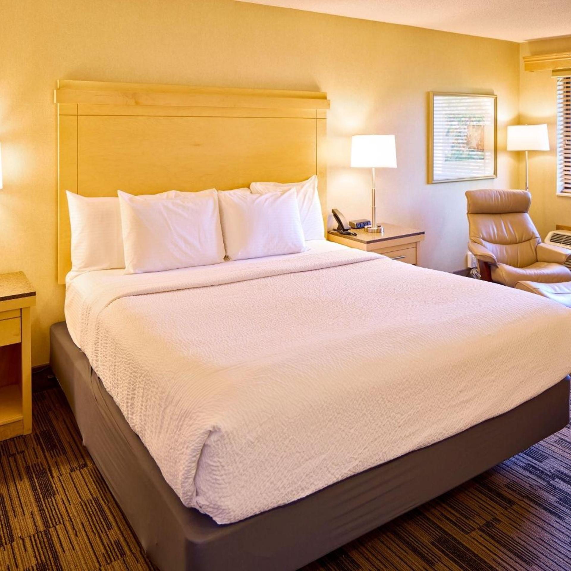 Deluxe, King Bed
