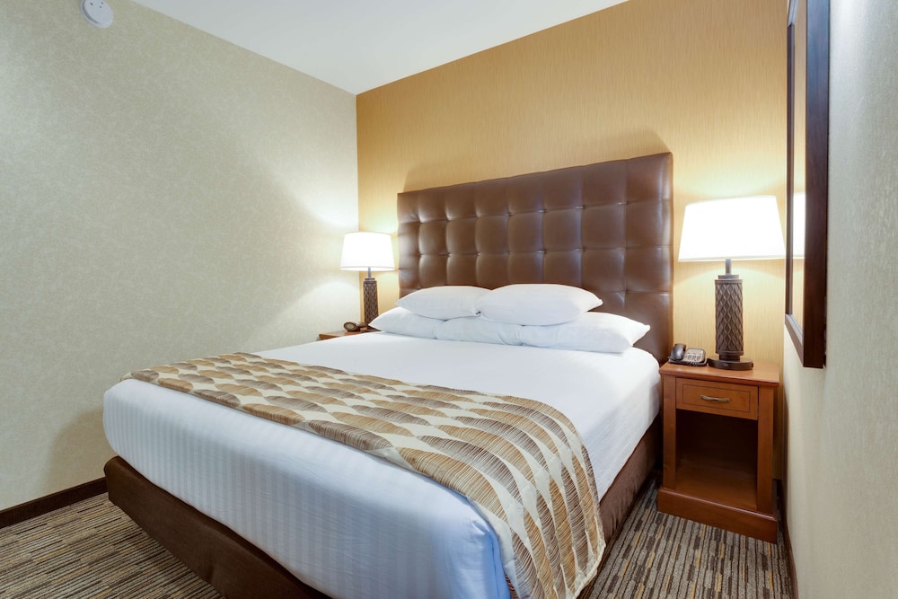Drury Plaza Hotel St Louis At The Arch 9/50