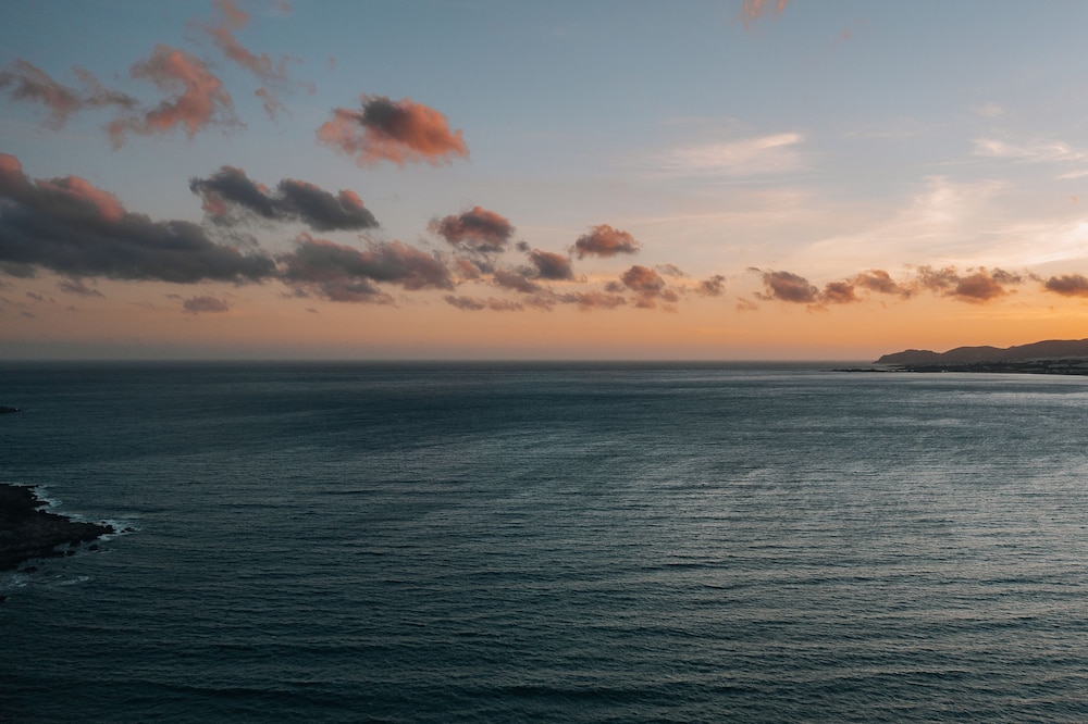 Blue Horizon 29/45