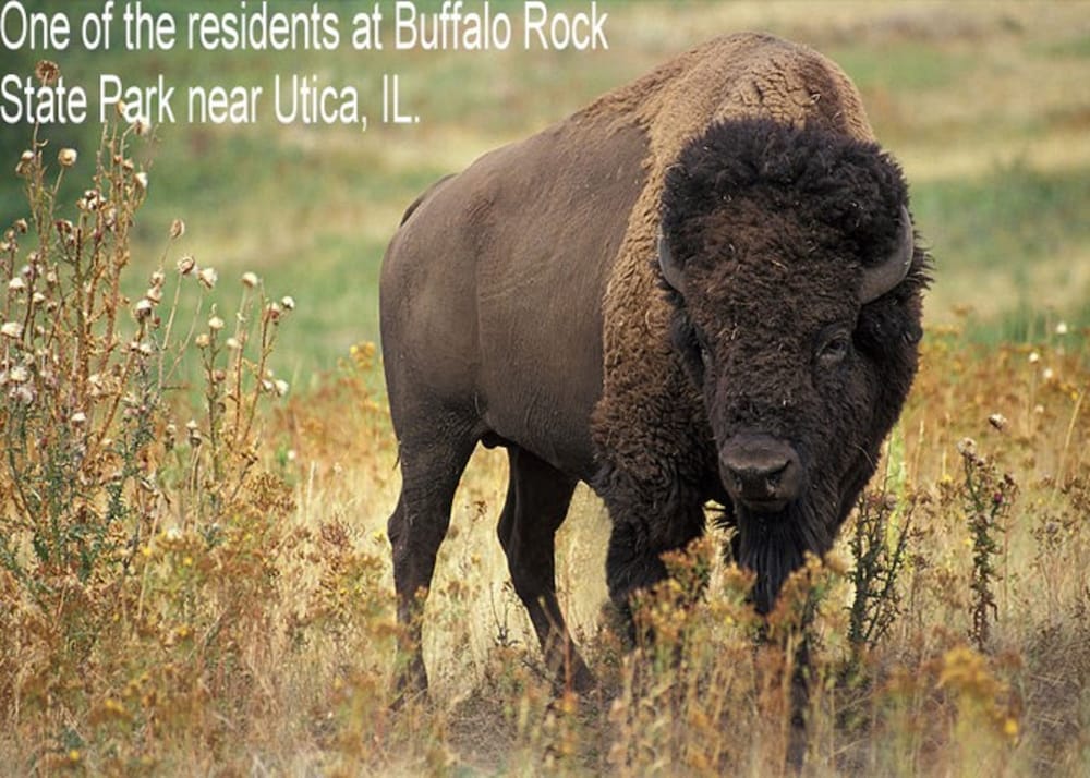 Super 8 by Wyndham Ottawa Starved Rock 24/47