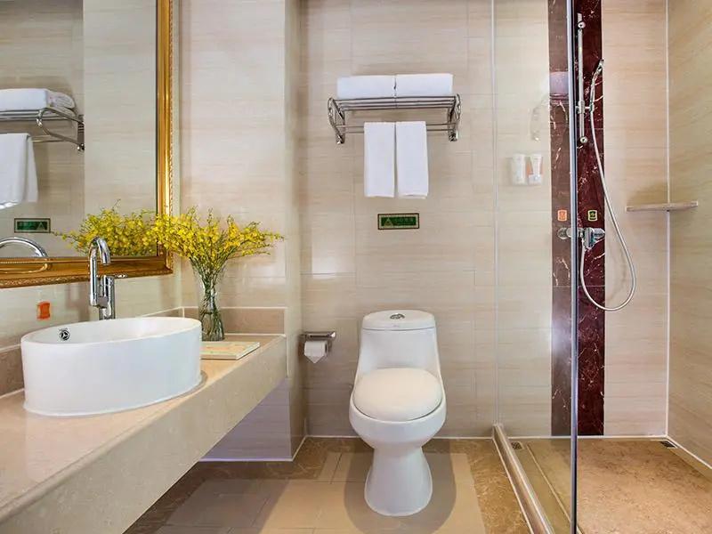 Vienna Hotel (Shenzhen Guanguang Road Foxconn) 58/58
