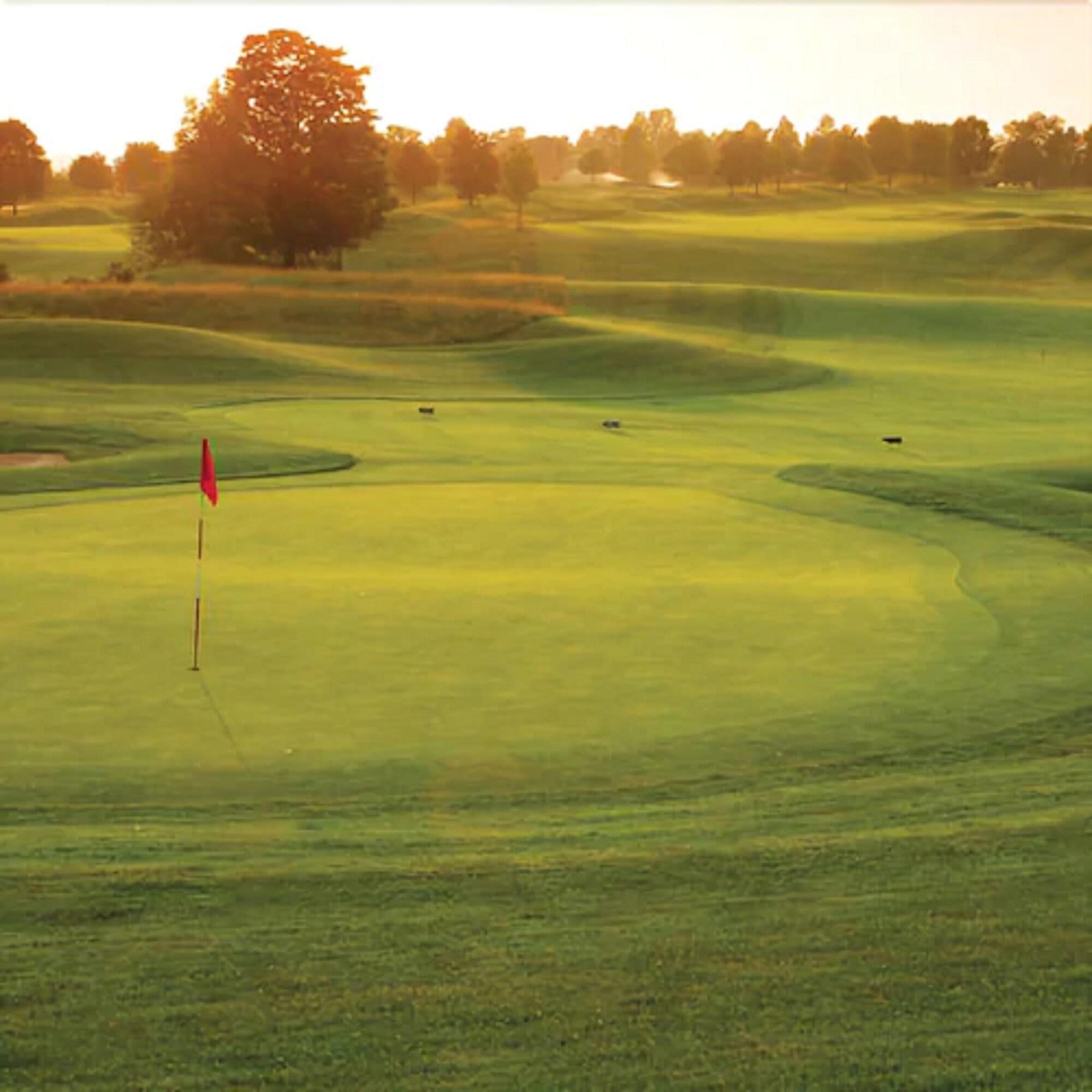 Forest Golf Club and Inn 7/19