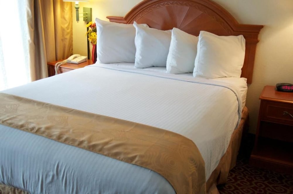 Barcelona Suites 13/46
