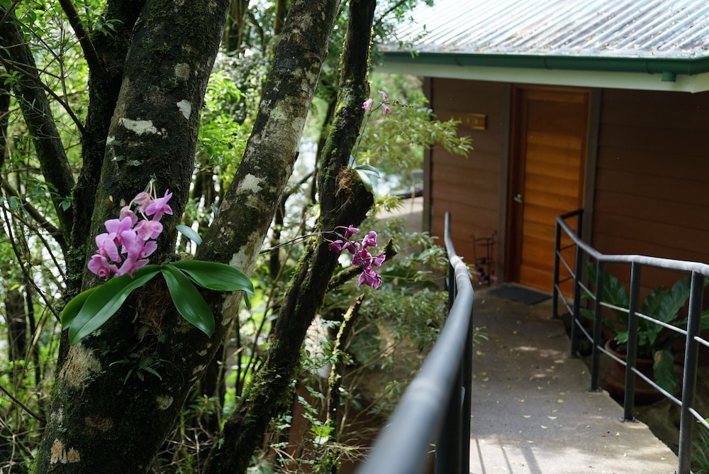 Koora Hotel a Cloud Forest Hotel By Sandglass 4/60