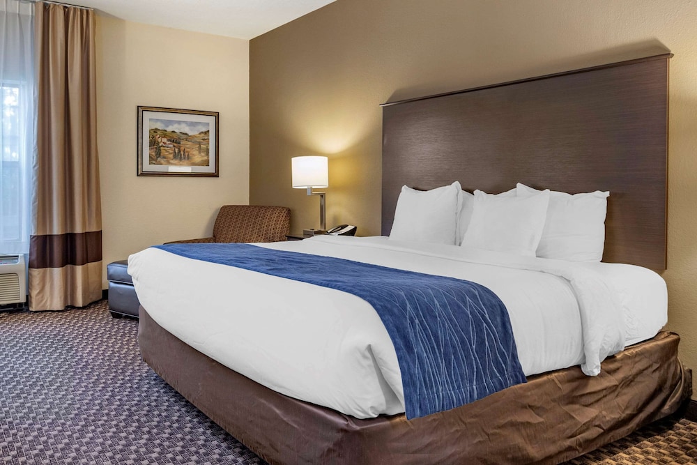 Comfort Inn Wings Stadium 14/29