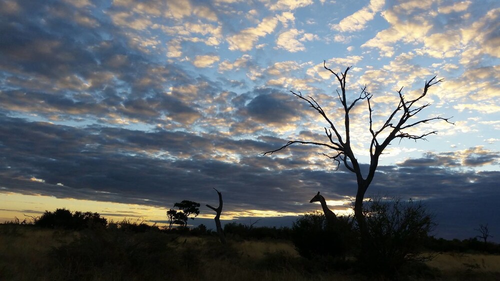 Khwai Tented Camp 22/50