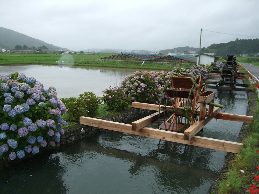 Nagomiyado Anjuann 29/50