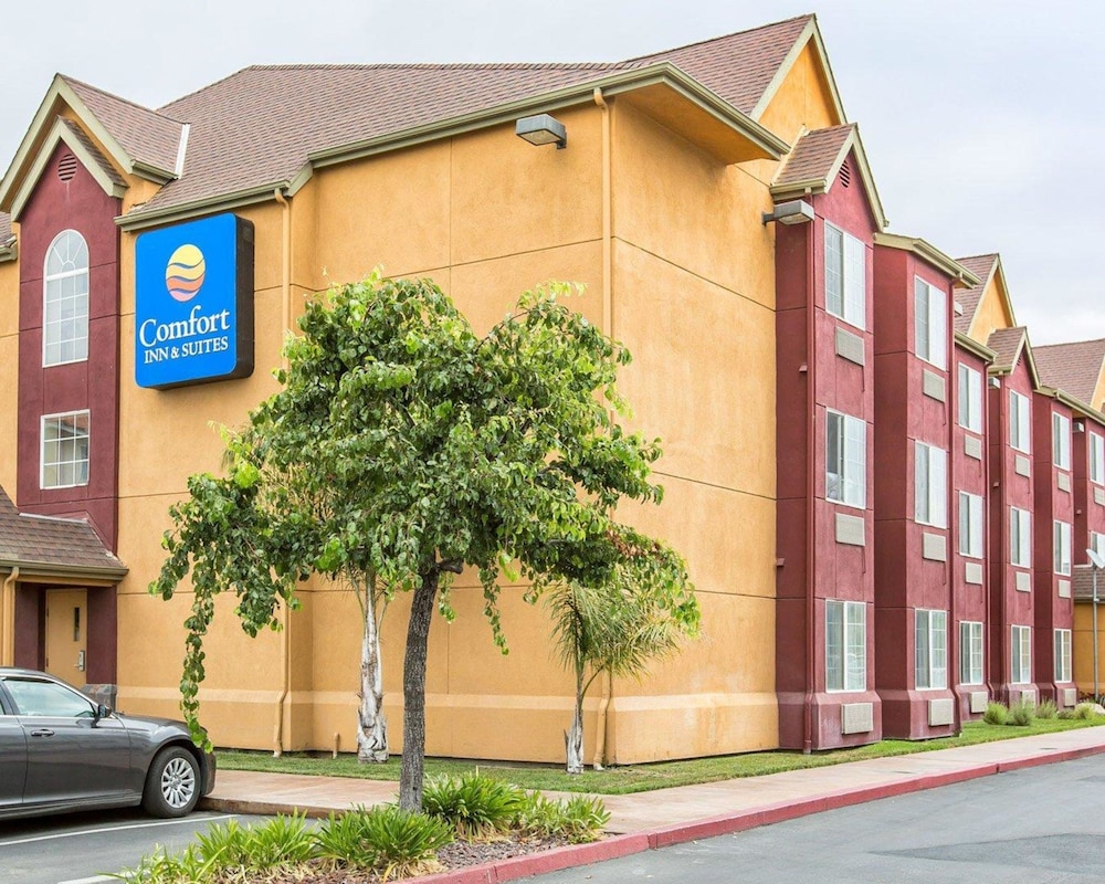 Comfort Inn & Suites Salinas City Center Area 6/45