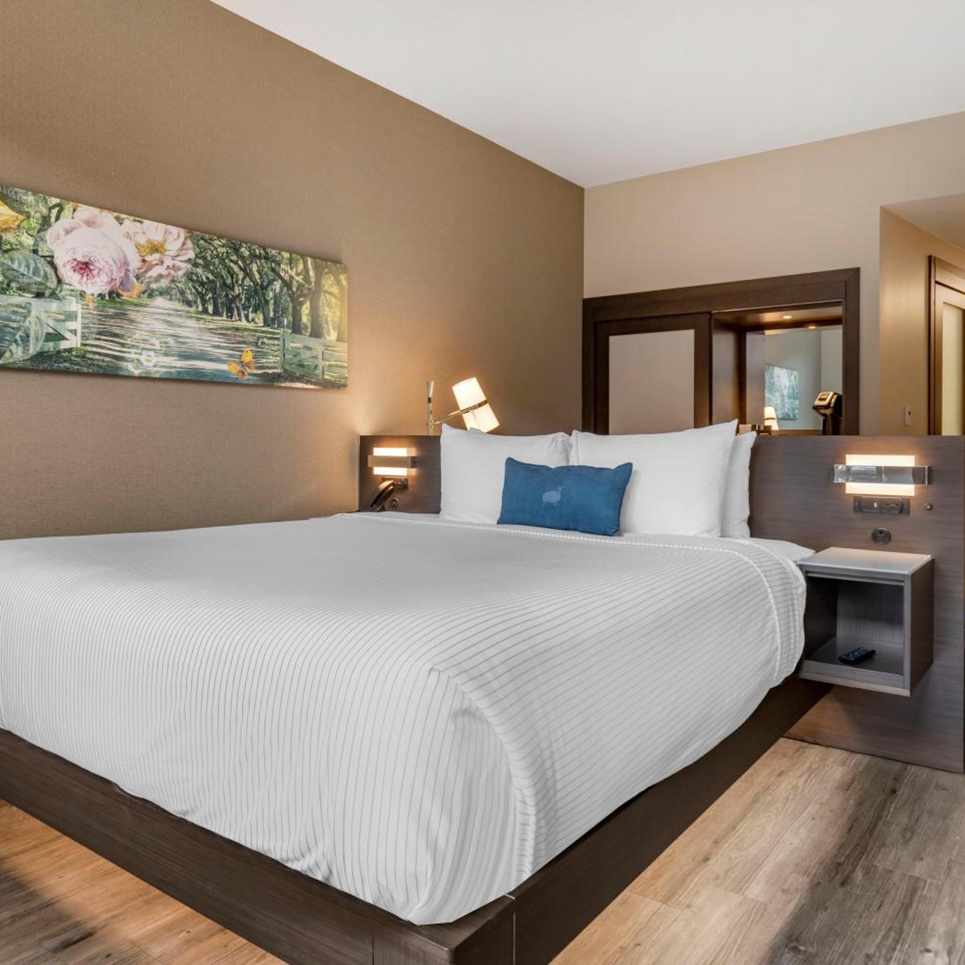 Room, King Bed, Balcony