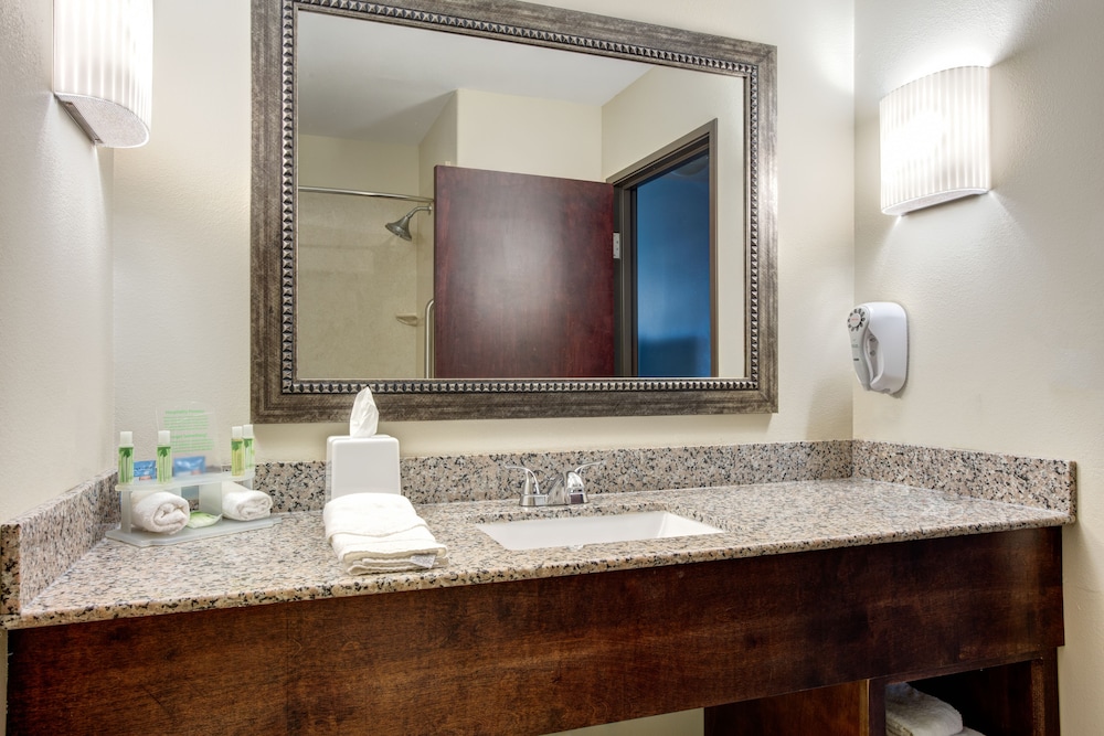 Holiday Inn Express Hotel And Suites Raceland Highway 90 15/49