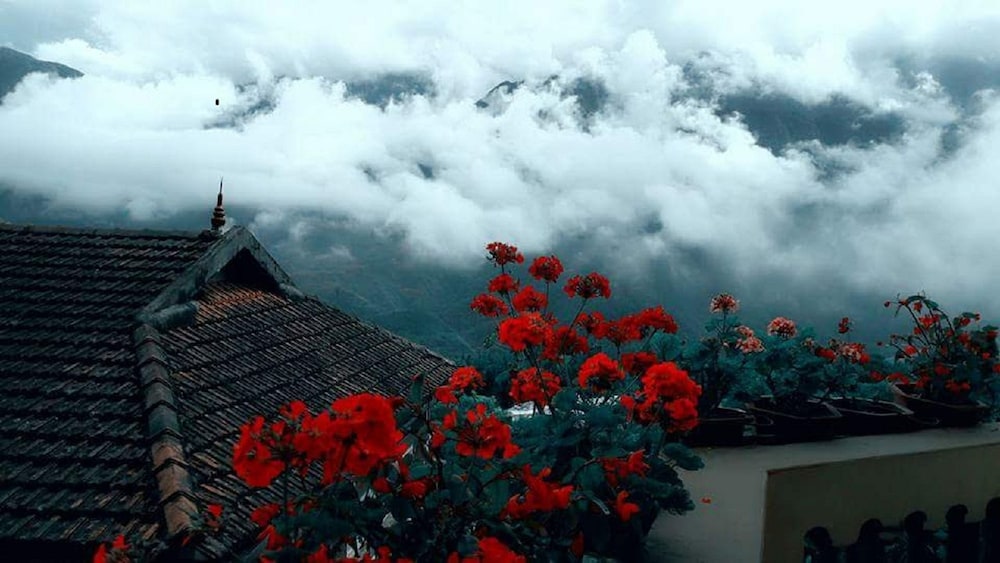 Chau Long Sapa 2 Hotel 68/75
